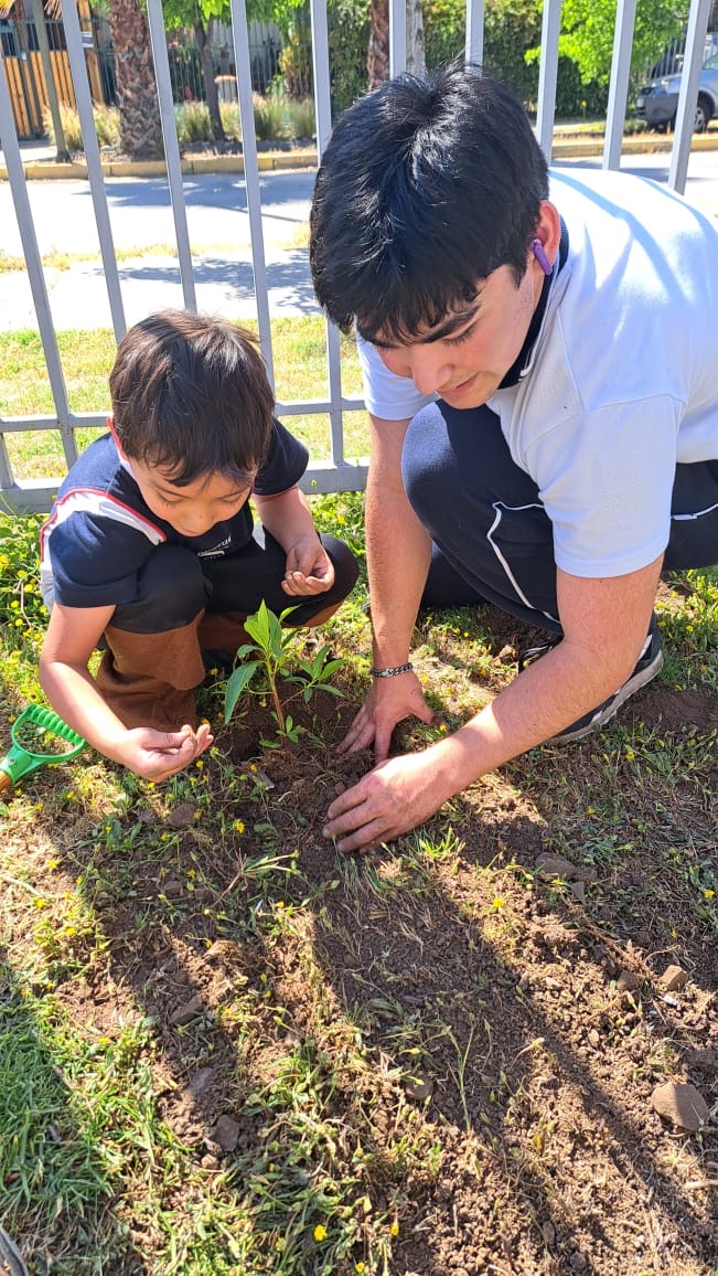 SEMBRAR DEJANDO HUELLAS