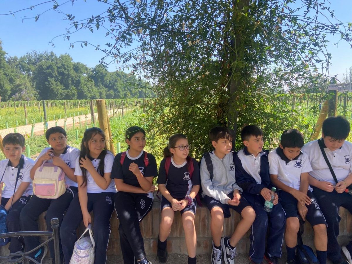 Salida pedagógica 4º Básicos